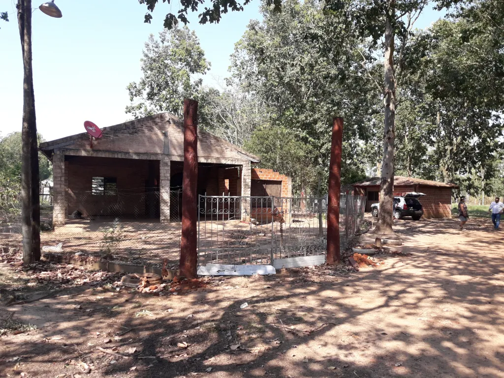 EN VENTA CAMPO DE 50.9 HAS SOBRE RUTA 1 EN CORONEL BOGADO — foto 3