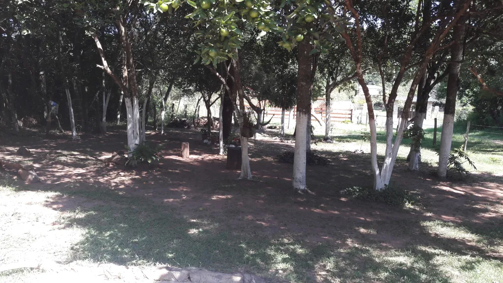 vendo en oferta — foto 3