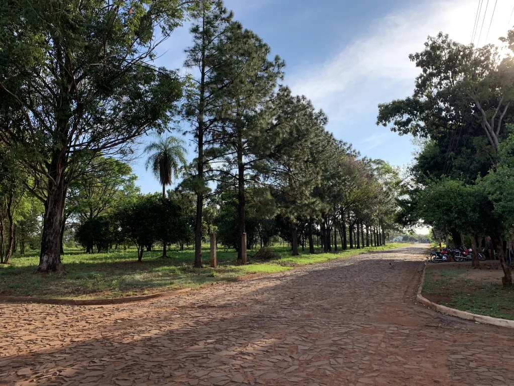 HERMOSOS LOTES EN BARRIO SAN ISIDRO - ENCARNACIÓN — foto 2