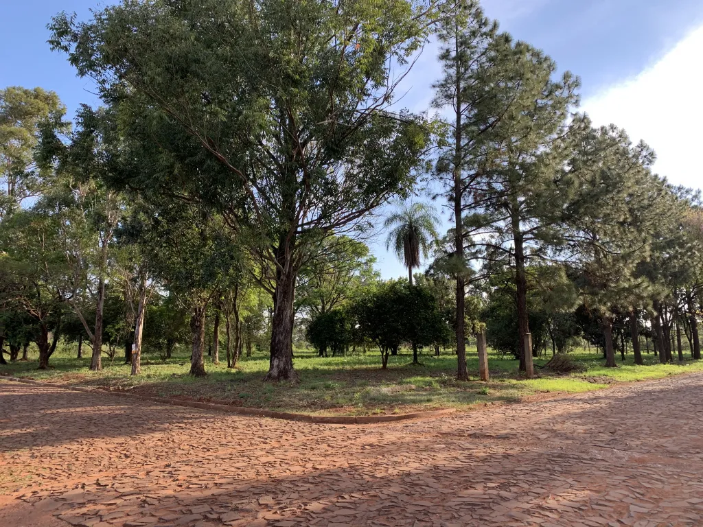 HERMOSOS LOTES EN BARRIO SAN ISIDRO - ENCARNACIÓN — foto 3
