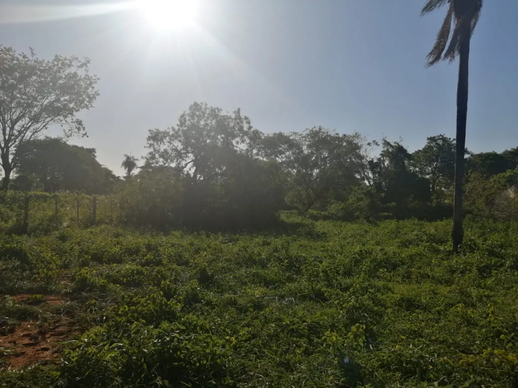 Terreno en Luque Ykua Dure — foto 2