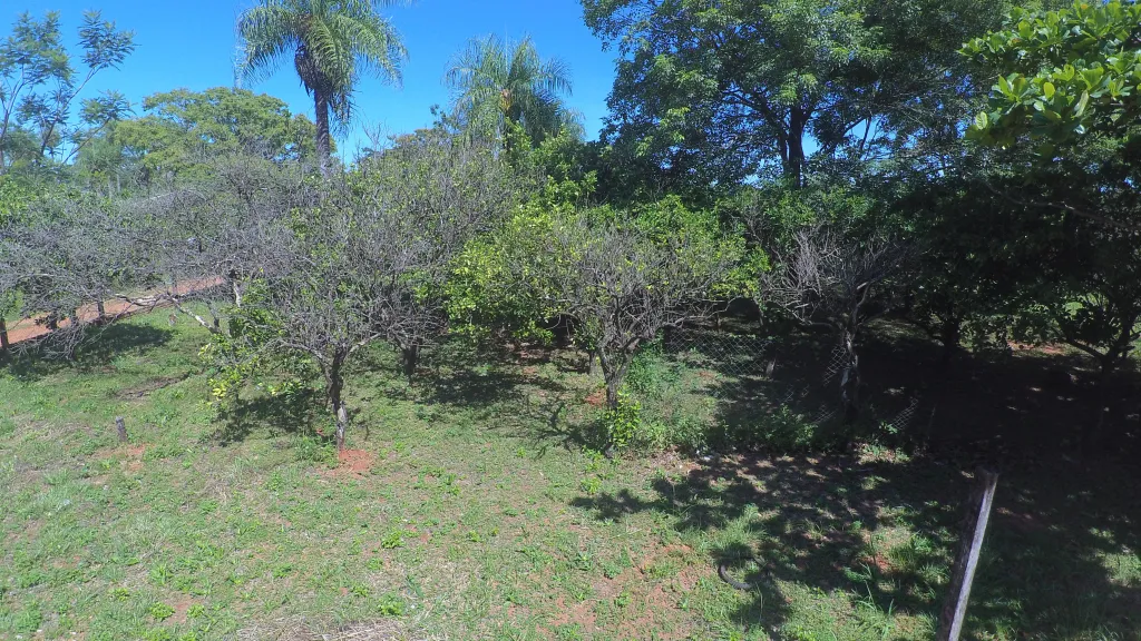 Vendo Terrenos en Capiata — foto 3