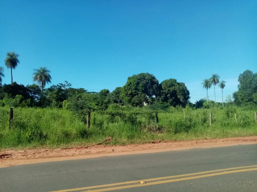 VENDO PROPIEDAD EN YPANE – PASO DE ORO: 4.648 M2 — foto 2