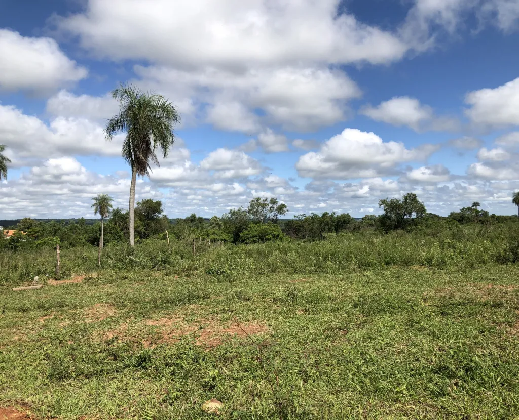 Terreno en Loma Grande — foto 2