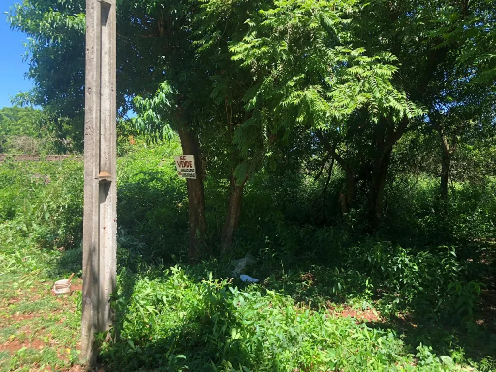 Vendo terreno en Santa María Seminario — foto 3