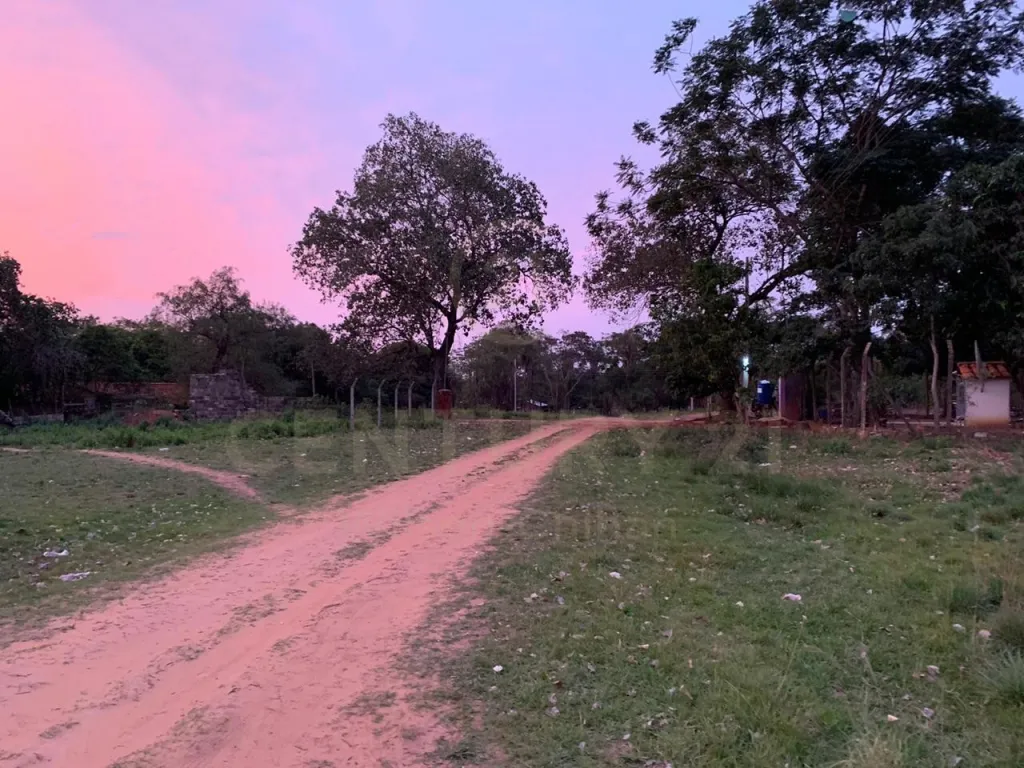 Terreno en creciente zona de Luque — foto 2