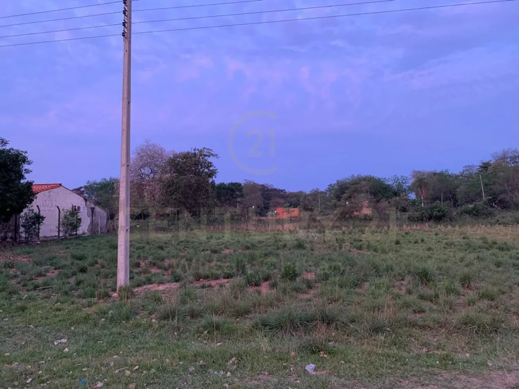 Terreno en creciente zona de Luque — foto 3