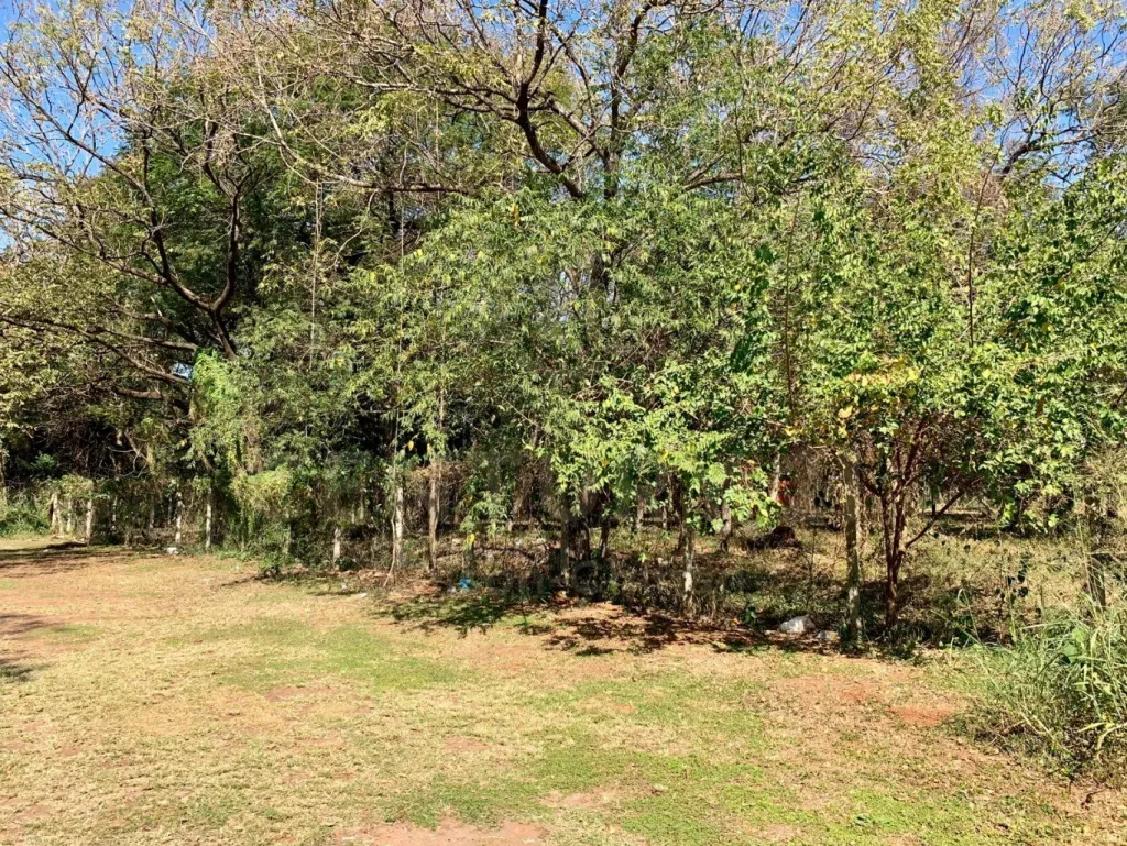 Terreno en San Lorenzo, a 1 cuadra del Pinedo Shopping. — foto 3