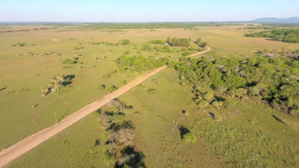 VENDO ESTANCIA AGRICOLA-GANADERA 275 HECTAREA EN MBOCAYATY GUAIRA — foto 3