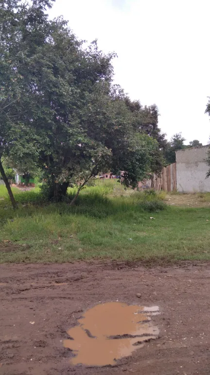 Terreno en Fracción El Bosque. Ciudad del Este — foto 2