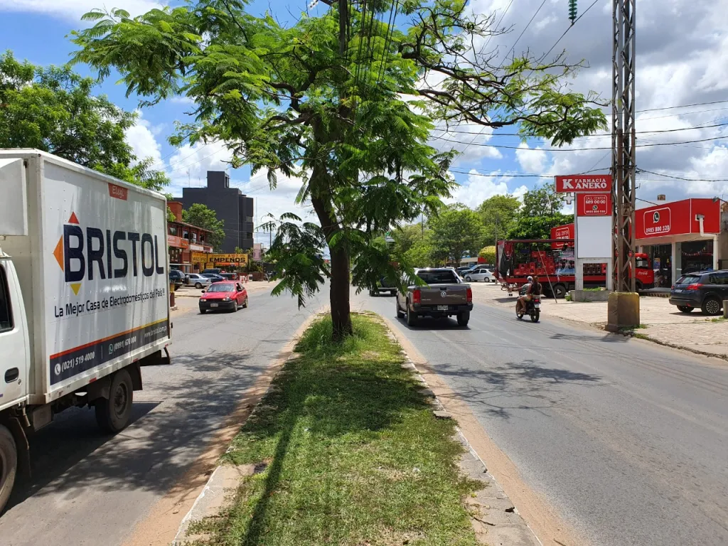 PROPIEDAD COMERCIAL DE 500 M2 SOBRE AVDA. ARTIGAS — foto 2