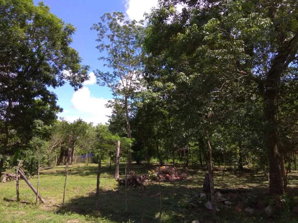 VENDO 2,000 mts2 en LIMPIO — foto 3