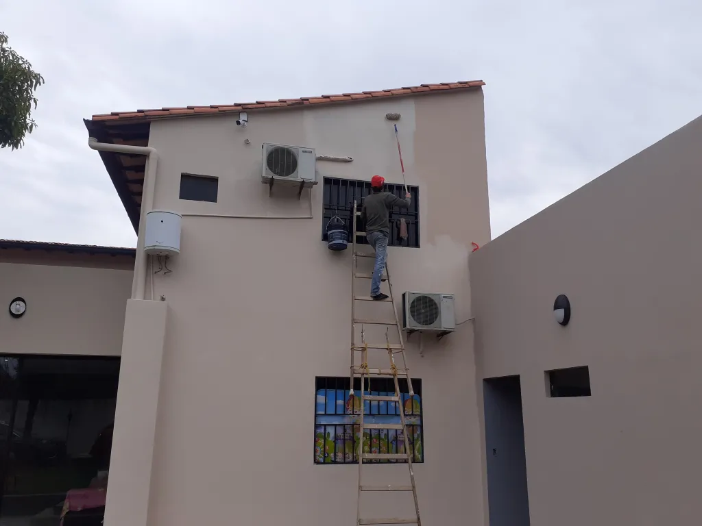 Pintor de obra y domicilio — foto 3