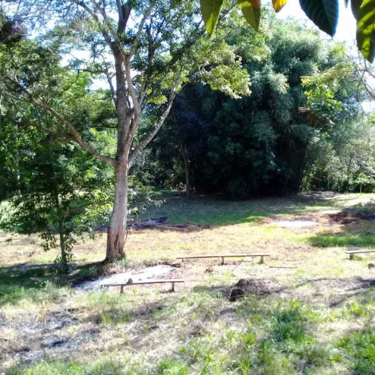 VENDO PROPIEDAD EN PIRIBEBUY CENTRO CÓD 3377 — foto 3