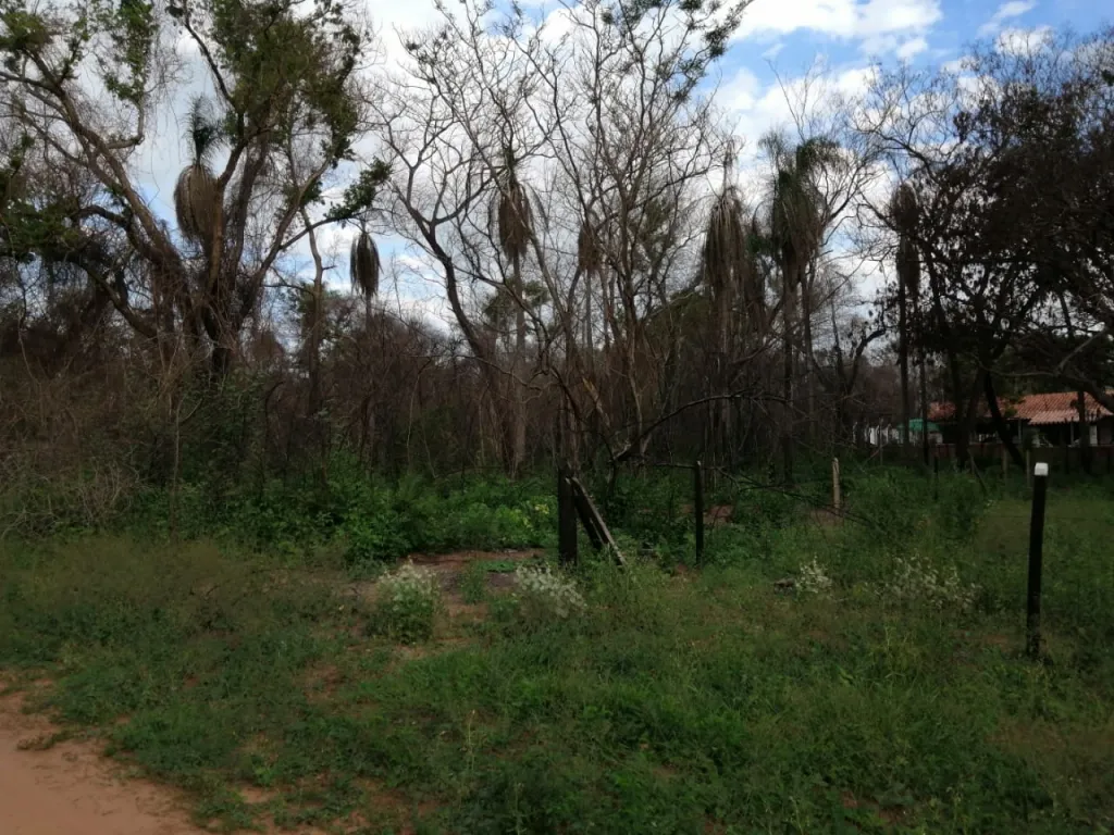 EN VENTA - 3 TERRENOS JUNTOS EN SAN BERNARDINO — foto 2