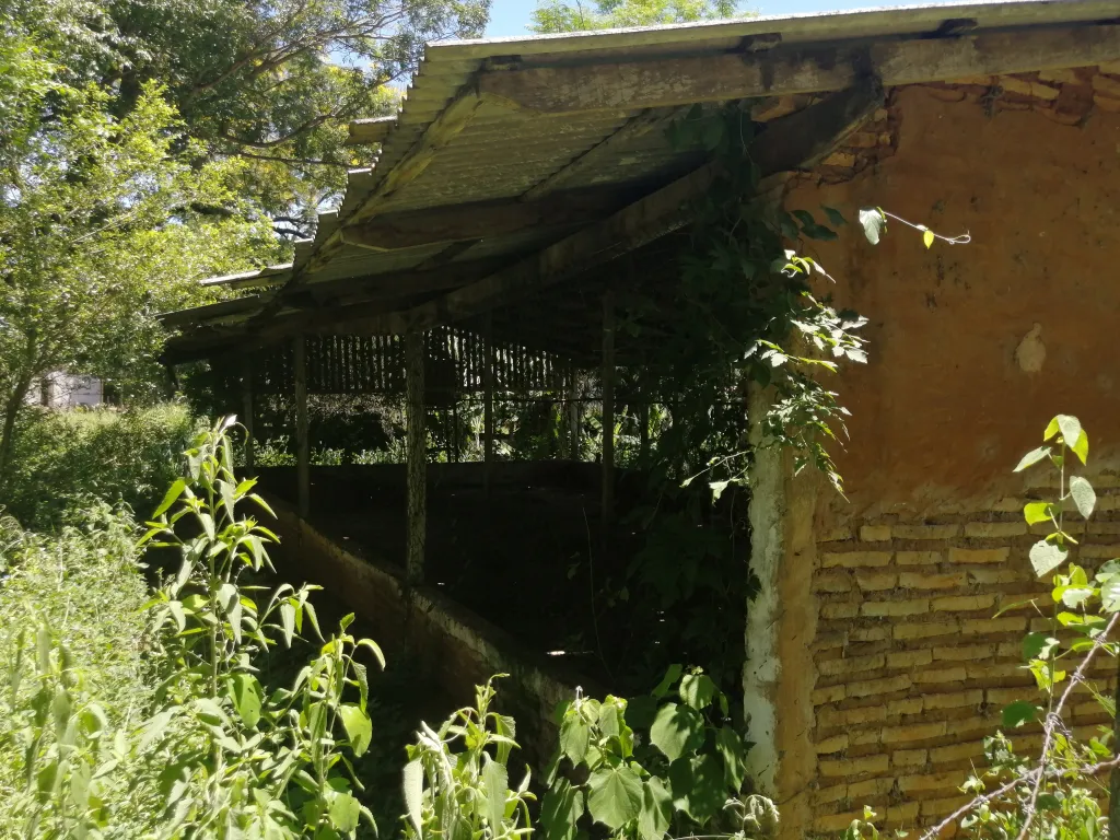 Pequeña propiedad con galpones para granja avícola. — foto 2
