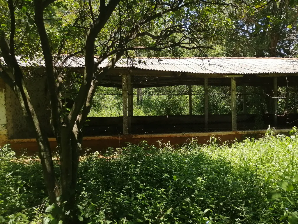 Pequeña propiedad con galpones para granja avícola. — foto 3