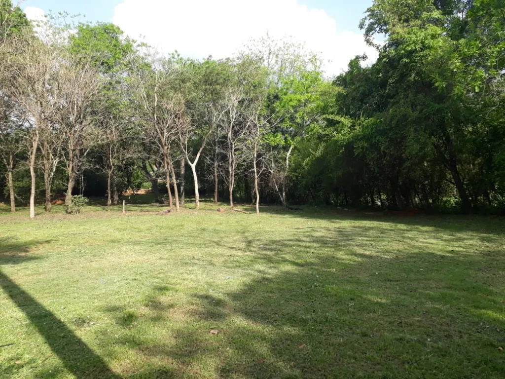 Terreno 34 x 103 mts sobre ruta Thompson Ypane — foto 3