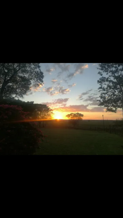 VENDO ESTANCIA FORMADA 138 HECTAREA PARAGUARI QYQYHO — foto 2