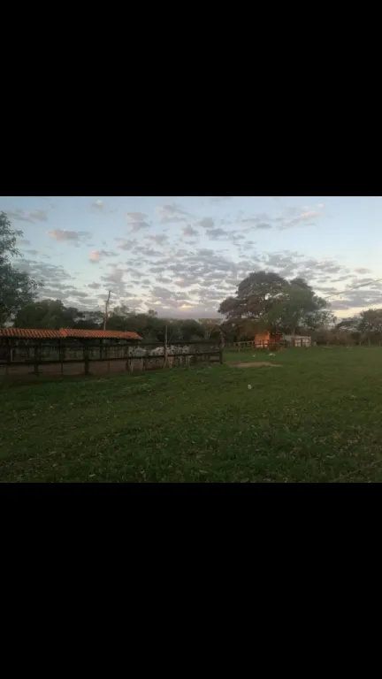 VENDO ESTANCIA FORMADA 138 HECTAREA PARAGUARI QYQYHO — foto 3