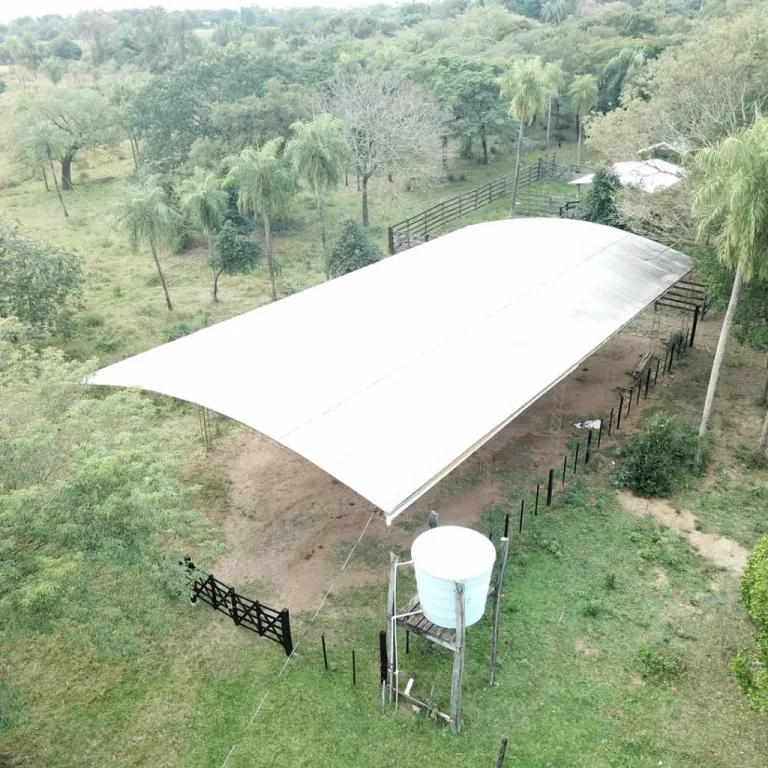 VENDO 60 HECTÁREAS EN QUIINDY. Cod VA — foto 3