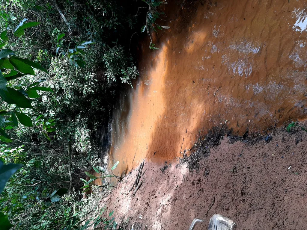 Gran Terreno en Nueva Colombia — foto 2
