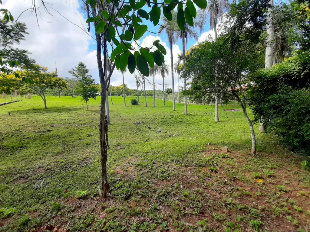 Gran Terreno en Nueva Colombia — foto 3
