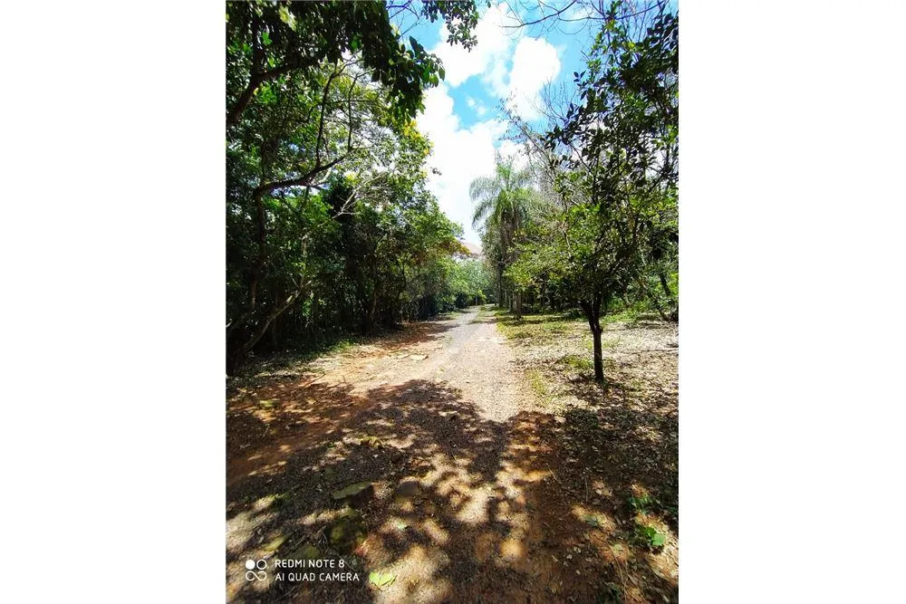 Propiedad en Altos con granja porcina 695,000 USD — foto 2