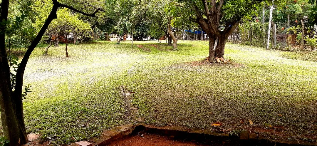 Anuncio 1748826 — foto 2