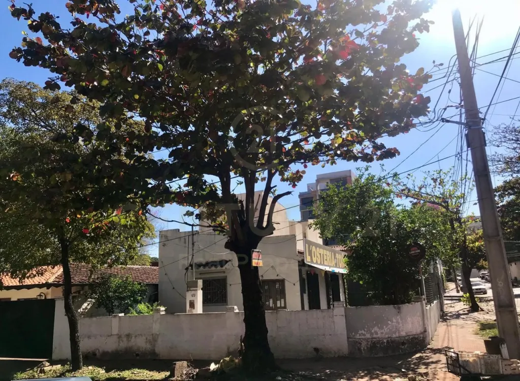 Lote en esquina, Ciudad Nueva! — foto 3