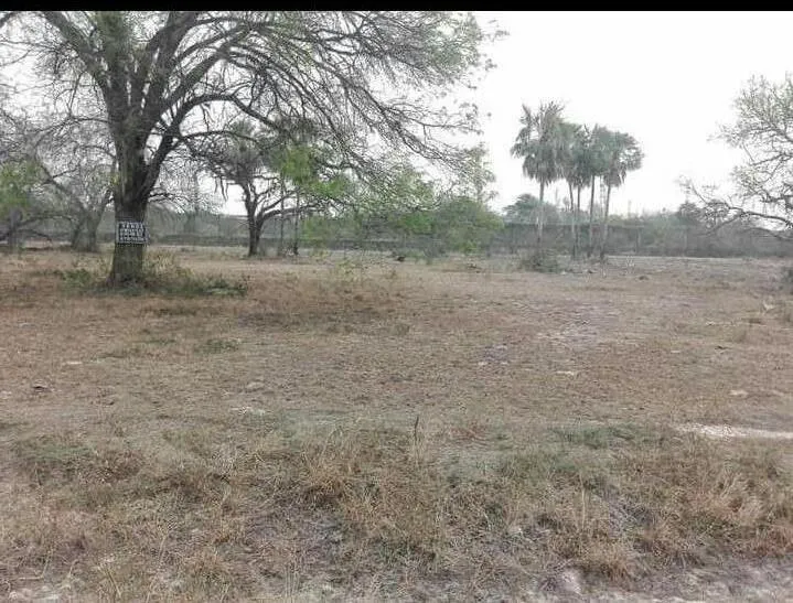 Vendo Terreno en Chacoi NUEVA ASUNCION — foto 2
