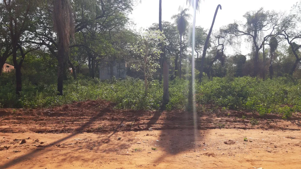 TERRENOS EN ZONA RAKIURA — foto 2