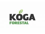 SERVICIOS DE REFORESTACION CON EUCALIPTOS CLONADOS