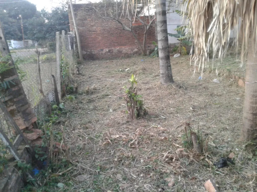TERRENO en SAN LORENZO - BARRIO VILLA INDUSTRIAL A MEDIA CUADRA DE MANUEL O. GUERRERO — foto 3