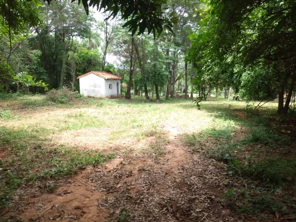 Vendo 1,5 hectareas en la ciudad de Limpio — foto 3