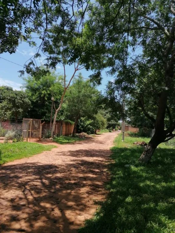 VENDO 1500 m2 de terreno (4 terrenos).. San Luis San Lorenzo!! — foto 3