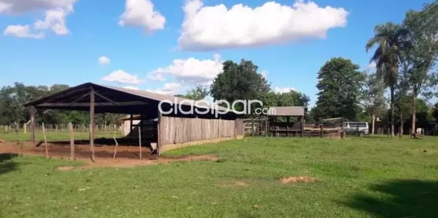 CAMPO DE 6 HAS. EN FULGENCIO YEGROS DPTO DE CAAZAPÁ — foto 2