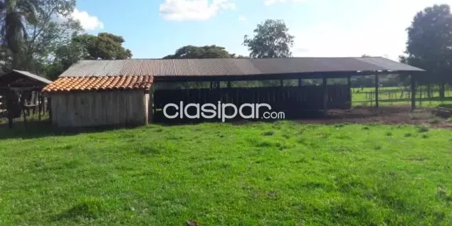CAMPO DE 6 HAS. EN FULGENCIO YEGROS DPTO DE CAAZAPÁ — foto 3