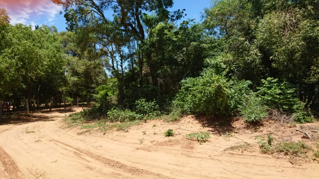 Hermoso terreno en coratei — foto 2