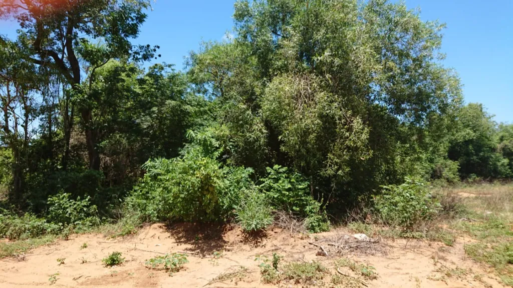 Hermoso terreno en coratei — foto 3