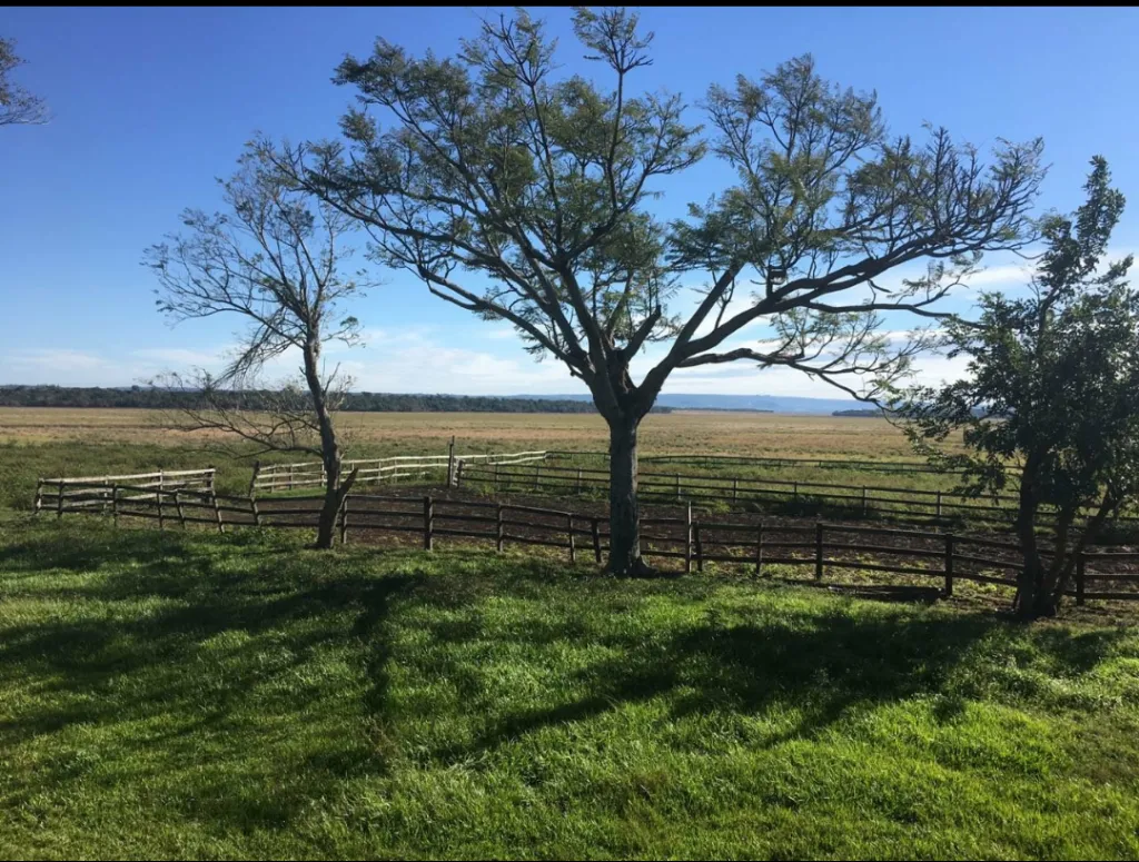 Vendo 1512 hectáreas en Paraguarí — foto 3