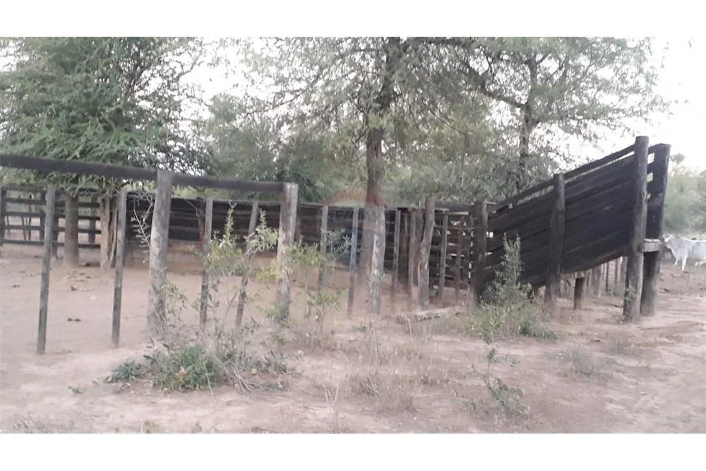 Venta de campo de 110 hectáreas a 60km de Neuland 1,100,000,000 ₲ — foto 2