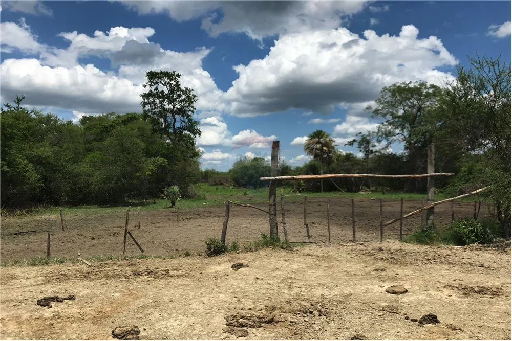 Anuncio 1756472 — foto 2