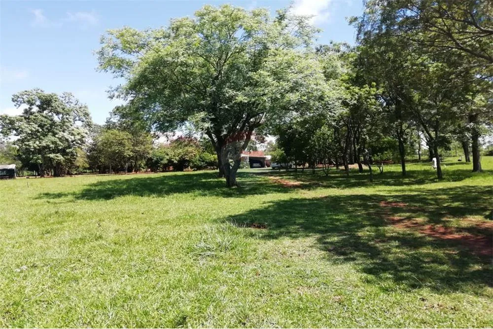 Vendo 37 ha en Santa Rosa Misiones 1,850,000,000 ₲ — foto 3