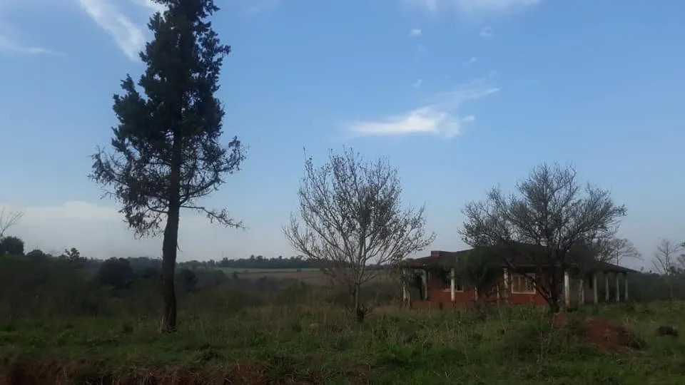 MINGA GUAZÚ - ALTO PARANÁ (S RUTA CEDRALES): PROPIEDAD EN OFERTA, UBICACIÓN PRIVILEGIADA. — foto 2