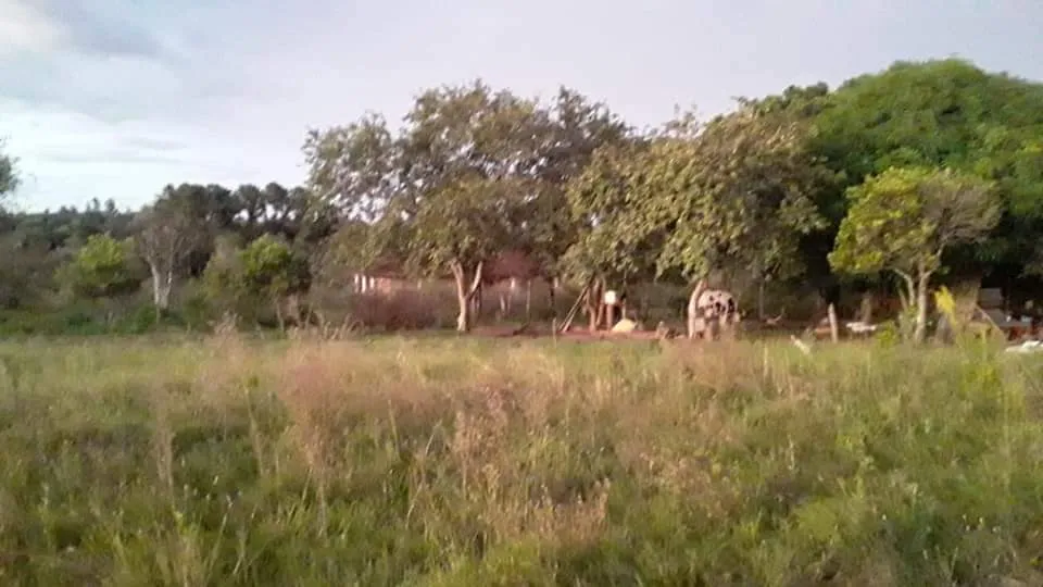 MINGA GUAZÚ - ALTO PARANÁ (S RUTA CEDRALES): PROPIEDAD EN OFERTA, UBICACIÓN PRIVILEGIADA. — foto 3