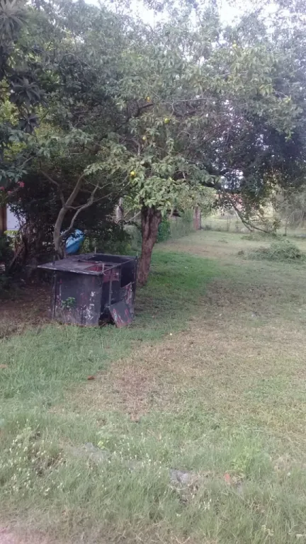 VENDO TERRENO EN VILLA FLORIDA — foto 3