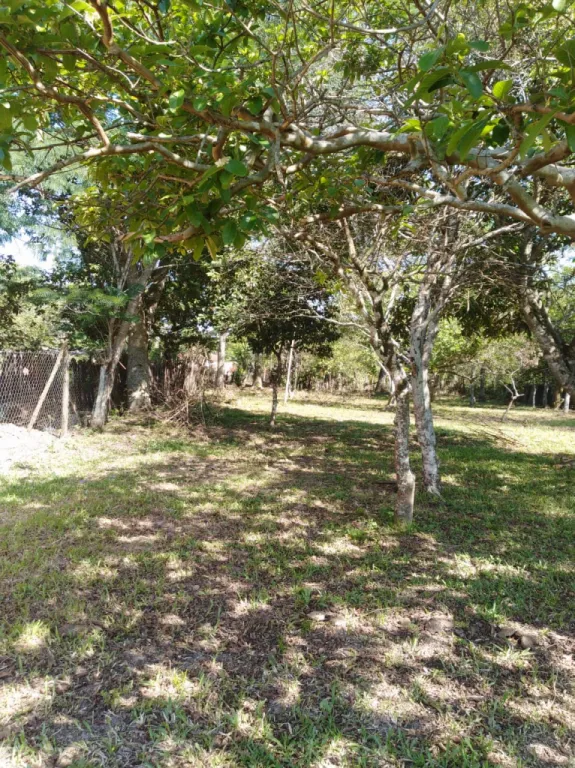 EN VENTA HERMOSO TERRENO EN CABALLERO, AL LADO DE LA MUNICIPALIDAD Y LA PLAZA — foto 3
