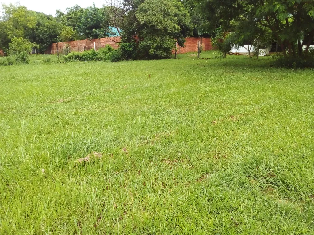 TERRENO EN CAPIATA RUTA 1 KM 23 SOBRE ROJAS CAÑADA — foto 2