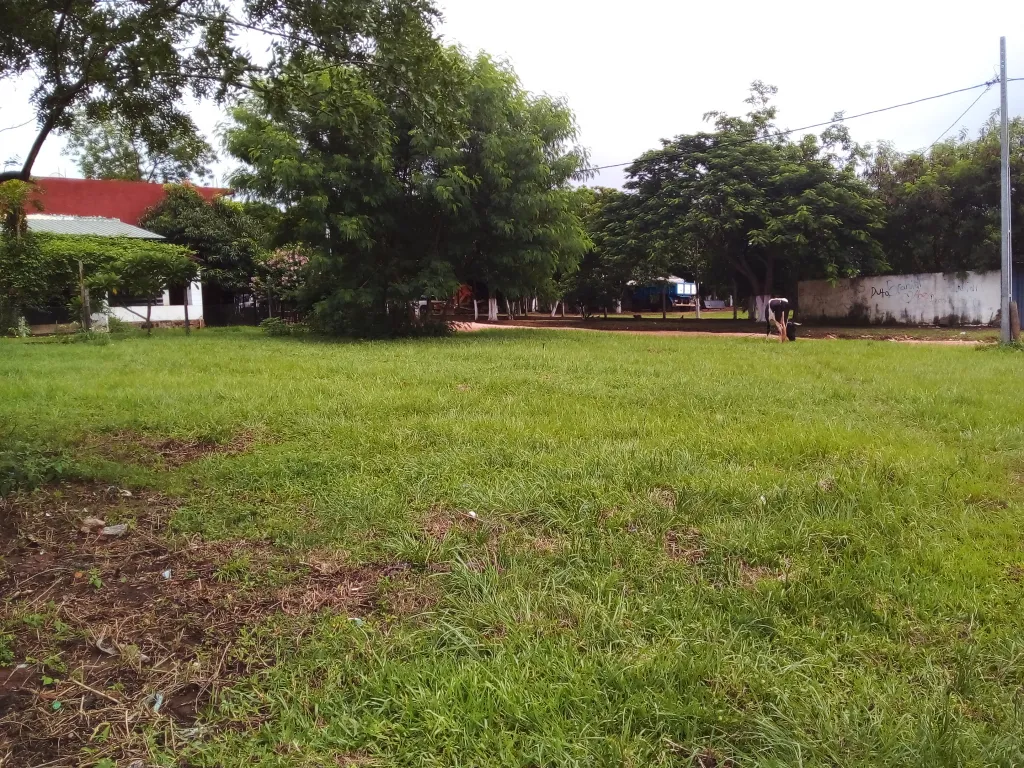 TERRENO EN CAPIATA RUTA 1 KM 23 SOBRE ROJAS CAÑADA — foto 3